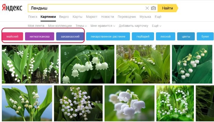 Filter untuk mencari gambar Yandex