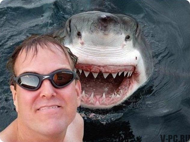 selfie hiu