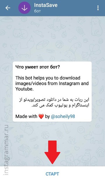 Melihat Cerita Instagram secara anonim - Bot Telegram