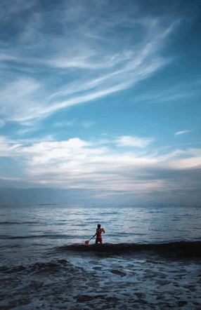 Cara membuat foto langsung Plotagraf di iPhone / Android