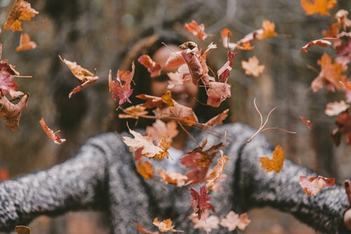 ide foto musim gugur untuk instagram - seorang gadis melempar dedaunan di hutan