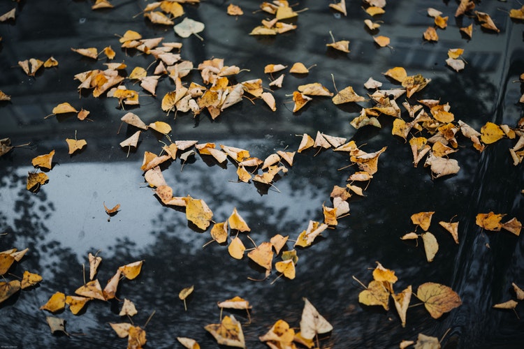 Ide foto Musim Gugur Instagram - hati daun