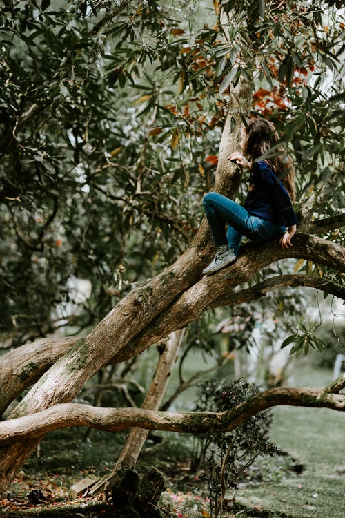ide foto musim gugur untuk instagram - seorang gadis di atas pohon