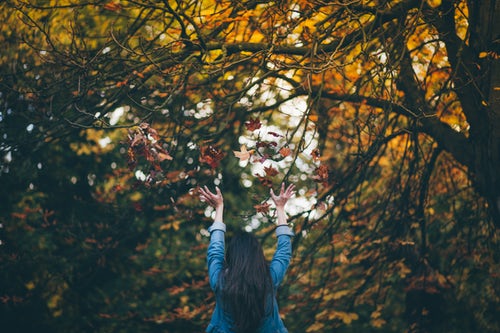 ide foto musim gugur untuk instagram - melempar dedaunan di hutan