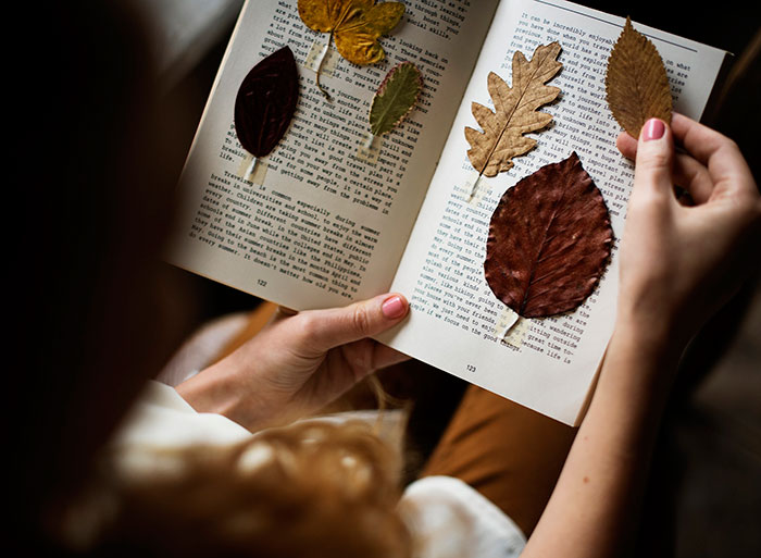 Ide foto musim gugur untuk Instagram - daun kering dalam sebuah buku
