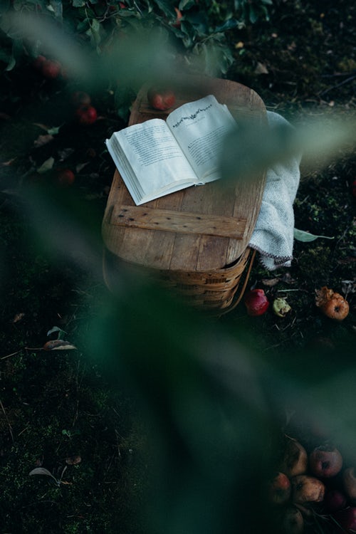 Ide foto musim gugur untuk Instagram - buku piknik
