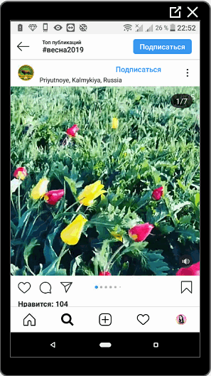 Video di Instagram tentang musim semi